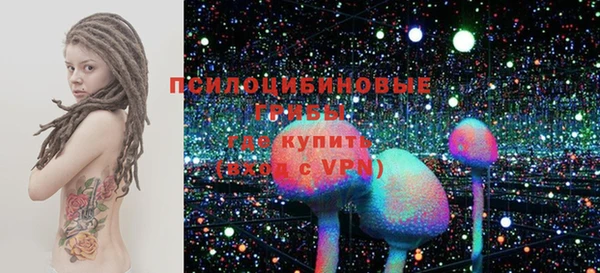 сатива Алзамай