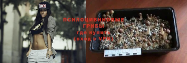 молекула духа Алексин