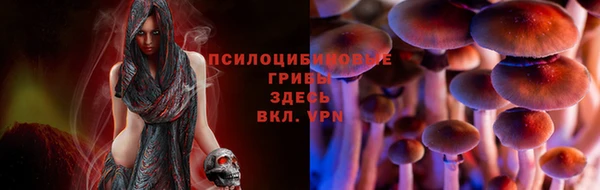 молекула духа Алексин